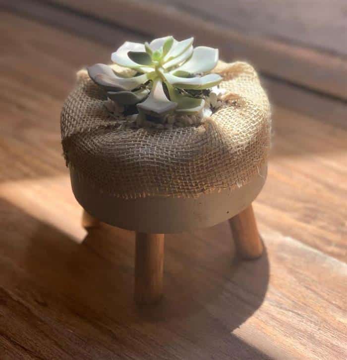 vaso decorativo para suculentas