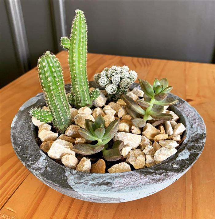 vaso grande para plantas pequenas