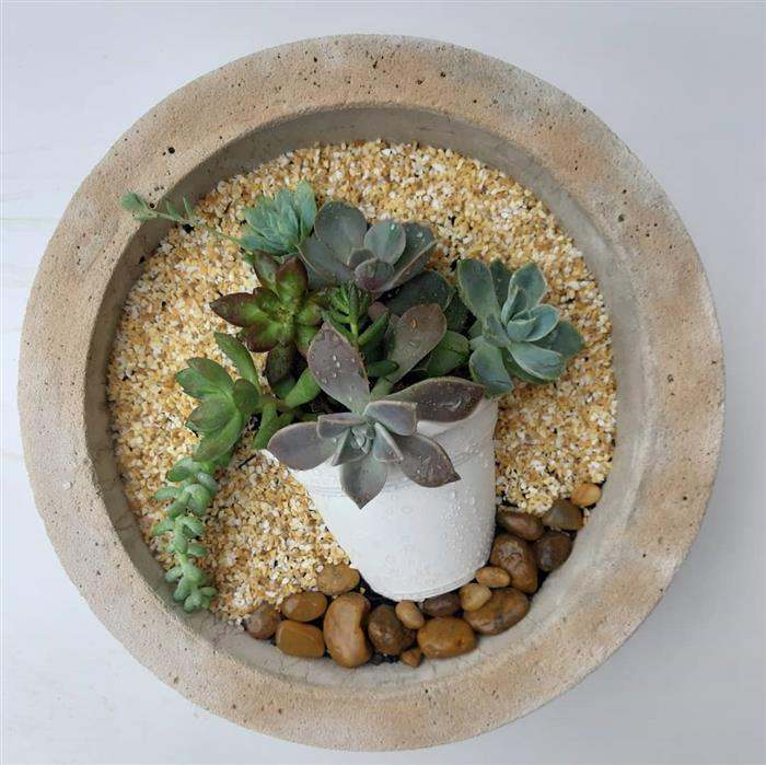 vaso para jardim de suculentas