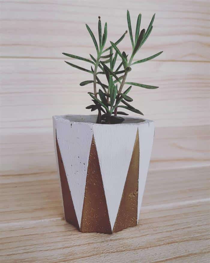 vasos de cimento alto