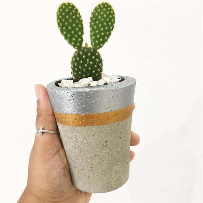 vasos de cimento altos
