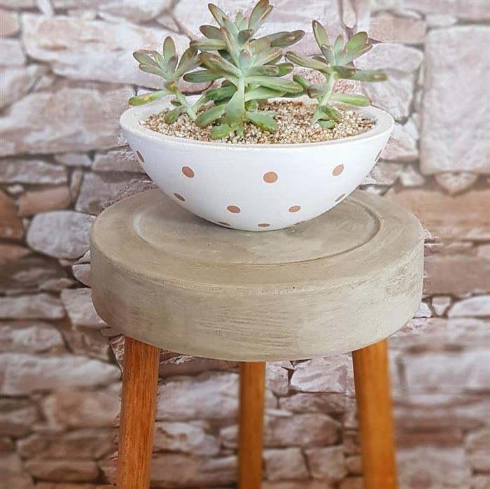 vasos de cimento grande para plantas