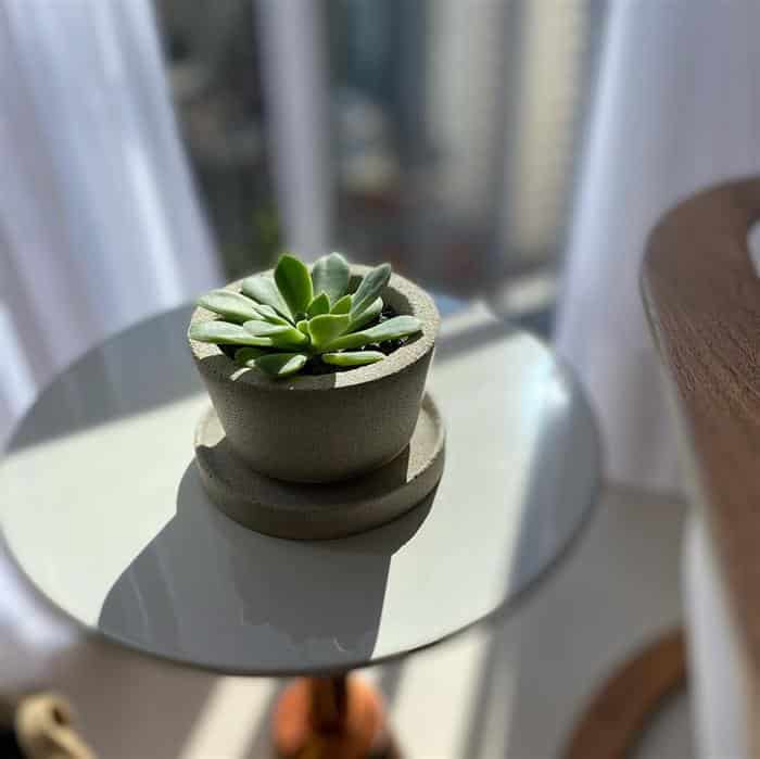 vasos de cimento na decoração