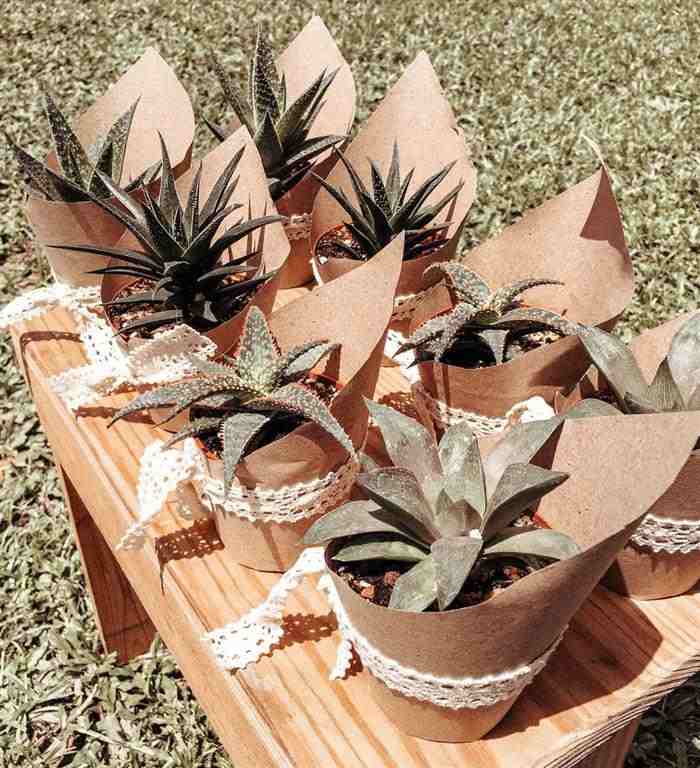 lembrancinhas de casamento com suculentas